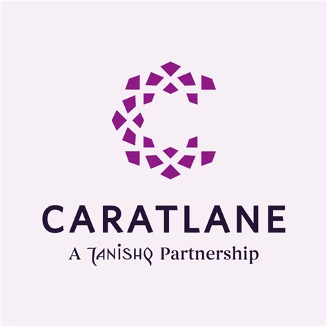 NEW DELHI: Tata group firm Titan Co Ltd is acquiring 62 per cent stake in online jewellery player Carat Lane for Rs 357.24 crore. The company, which in May had announced decision to buy a majority stake in Carat Lane, today said it has signed a share purchase agreement for the same. "The purchase consideration required for the shares …